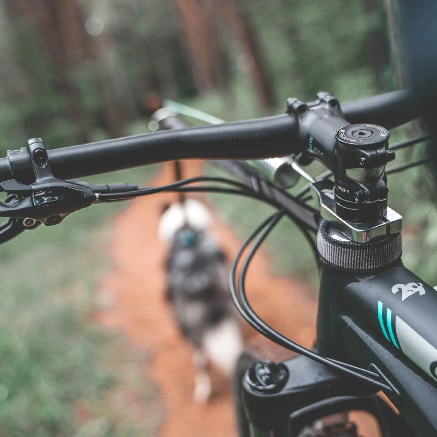 Bike Antenna